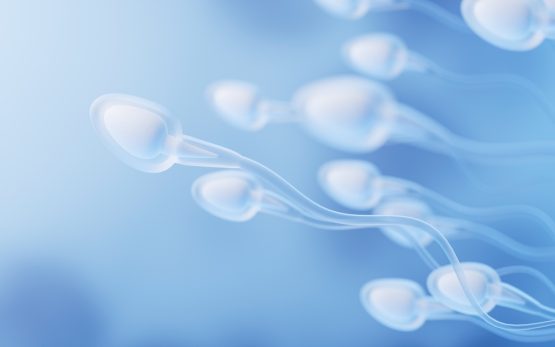 Human,Sperm,Cells,,3d,Rendering.,Digital,Drawing. Suks Minhas Male Fertility Expert